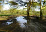 Keňa: Cesta do Lake Naivasha