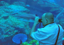 Dubaj: Dubai Mall – Aquarium & Underwater ZOO