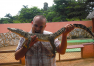 Kuba: Výlet na krokodýlí farmu v Zátoce sviní