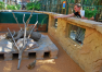 Abu Dhabi: Emirates Park Zoo