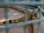 Abu Dhabi: Emirates Park Zoo