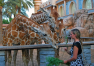 Abu Dhabi: Emirates Park Zoo