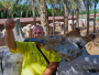 Abu Dhabi: Emirates Park Zoo