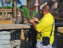 Abu Dhabi: Emirates Park Zoo