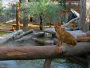 Abu Dhabi: Emirates Park Zoo