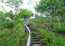 Filipíny: Bohol – Loboc Eco Adventure Park