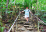 Filipíny: Bohol – Tarsier Conservation Area