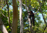 Madagaskar: Nosy Be – Lokobe Strict Reserve 