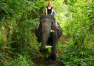 Srí Lanka: Sloní projížďka junglí