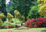 Srí Lanka: Prohlídka ostrova – Royal Botanic Garden